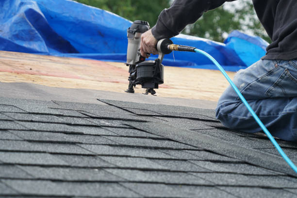 Best Metal Roofing Contractor  in Picayune, MS